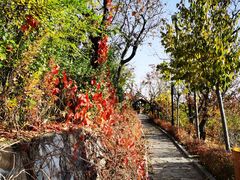 -遵化汤泉宫度假村温泉