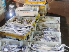 -新农都水产市场