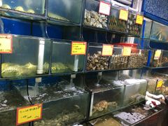 水产区-蚝专家(北滘店)