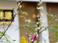 -花二家·生活馆(六运小区店)