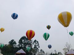-黄龙溪欢乐田园