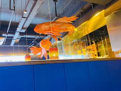 -咕嘟草帽鱼·牛奶一样的鲜鱼汤(包河万达广场创始店)