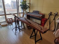 -音歆国艺馆·民乐培训(双榆树店)