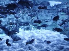 -常州海昌海洋探索馆