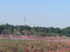 -嘉北郊野公园