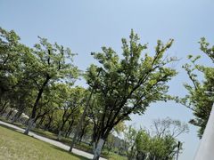 -映月湖中央公园