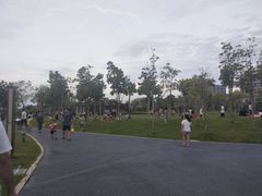 -宝安西湾红树林湿地公园