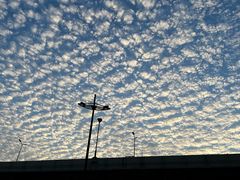 -松鹤楼·苏式汤面(虹桥天地店)