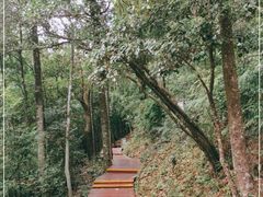-广州市石门国家森林公园