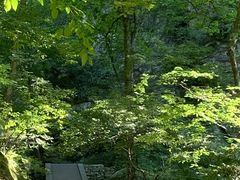 -武当山风景区