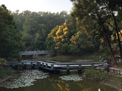 -深圳国际园林花卉博览园