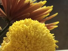 -南堂馆·新川菜(春熙路店)