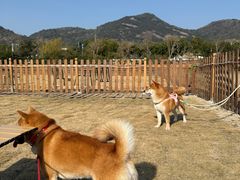 -宁波市保国寺古建筑博物馆