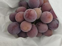 -马陆小张葡萄园农家乐