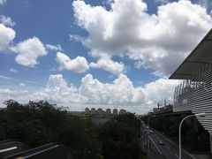 -星巴克(真如星光耀广场店)