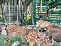 -东南花都花博园