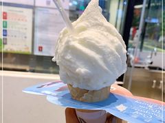 -野人先生现做冰淇淋(西安赛格店)