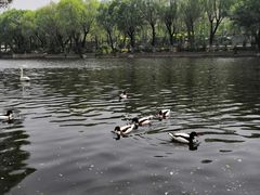 -石家庄市动物园