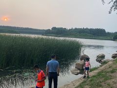 -丁香湖公园