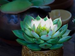 -熙古里艺术村