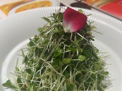 -解家河南菜(金水路店)