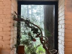 -寂照庵