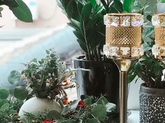 -蝶舍·MAISON PAPILLON