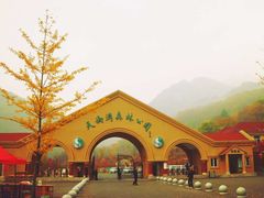 -丹东天桥沟景区