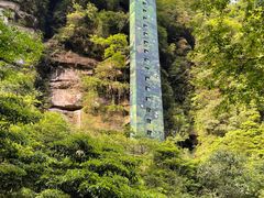 -碧峰峡风景区