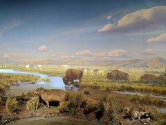 -陕西自然博物馆