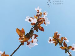 -钟山体育运动公园