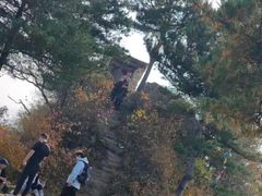-太平万花山景区