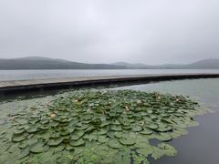 -水上明月·湖景餐厅