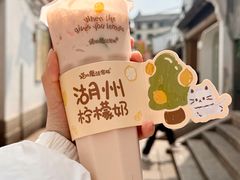 柠檬奶-猫的魔法密林(衣裳街店)