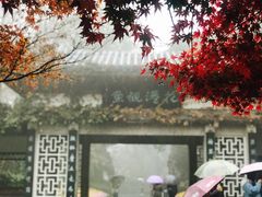 -西湖外事游船(花港观鱼码头)