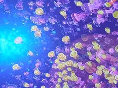 -海合安青岛极地海洋公园