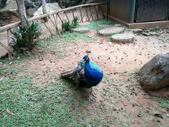 -昆明动物园