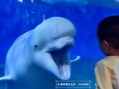 -泉城欧乐堡海洋极地世界