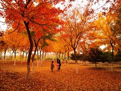 -北京上方山国家森林公园