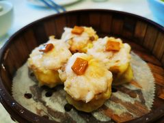 鲍鱼蒸烧卖王-香港富临皇宫(五月花商业广场店)