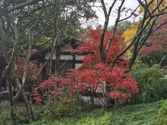-中国茶叶博物馆(双峰馆区)