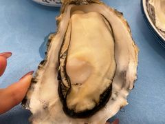 -千岛蚝高压锅生蚝·人参火锅(白云万达店)