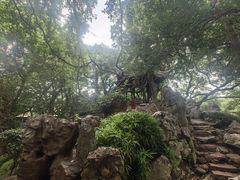 -绮园景区