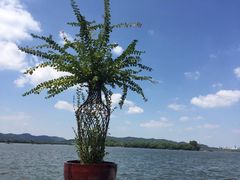 -浙江西子宾馆·瑶园咖啡厅