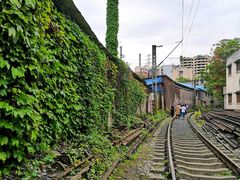 -黄桷坪涂鸦艺术街