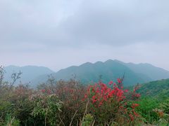 -幽优农庄·森波拉特色本地农家菜