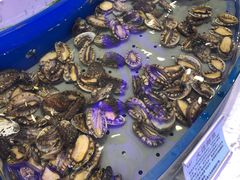 -澜悦港海鲜体验主题餐厅