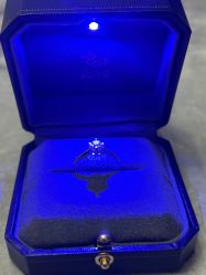 -钻石小鸟钻戒婚戒定制(石路店)