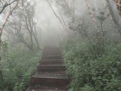 -白草畔自然风景区