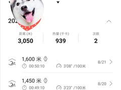 -重庆市奥林匹克体育中心-游泳跳水馆